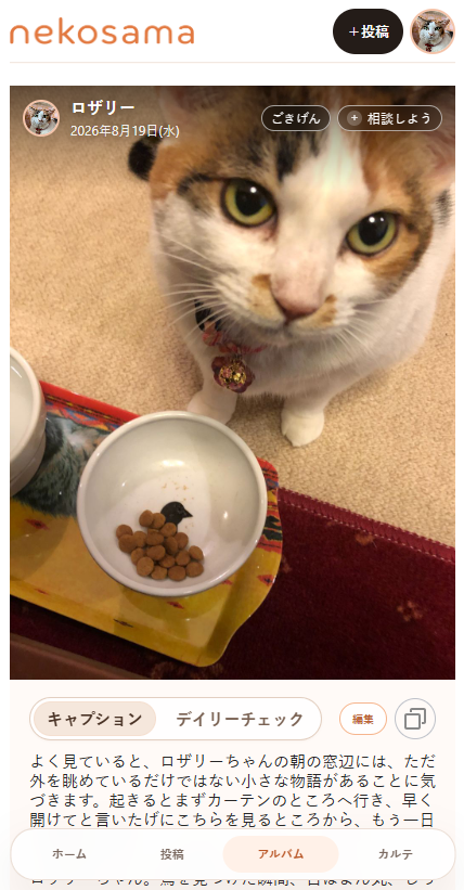 catsnapのニャン生アルバム画面