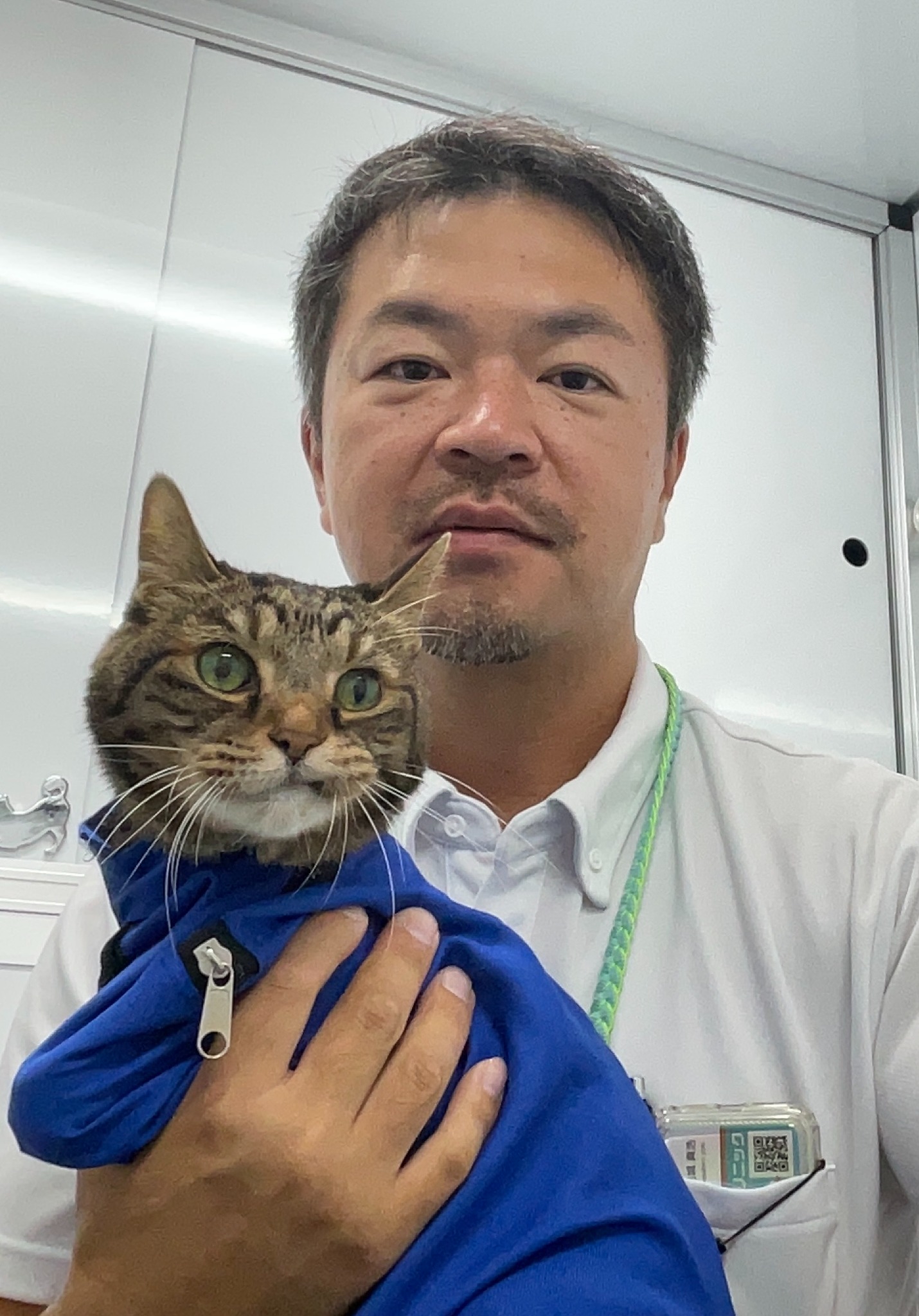 監修獣医師 結城真浩先生と猫