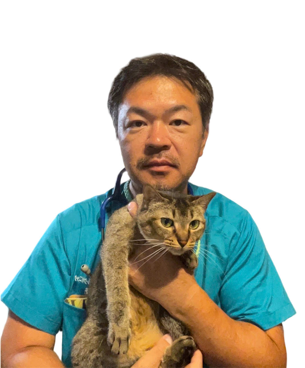 監修獣医師 結城真浩先生と猫